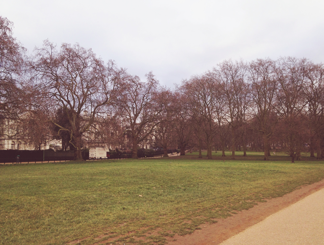 Palácio de Buckingham- green park 2