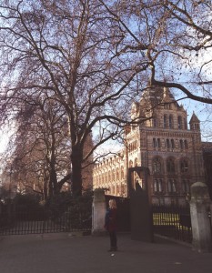 Victoria and Albert 1_r1_c1