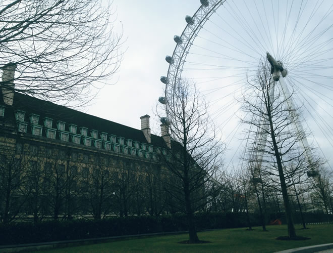 Westminster- London Eye4