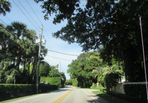 Miami 12