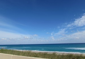 Miami 13