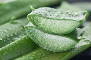 alimentos bons para o cabelo babosa