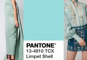Limpet Shell