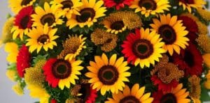 Significado de Cada Cor de Flor em Buquês de Noiva